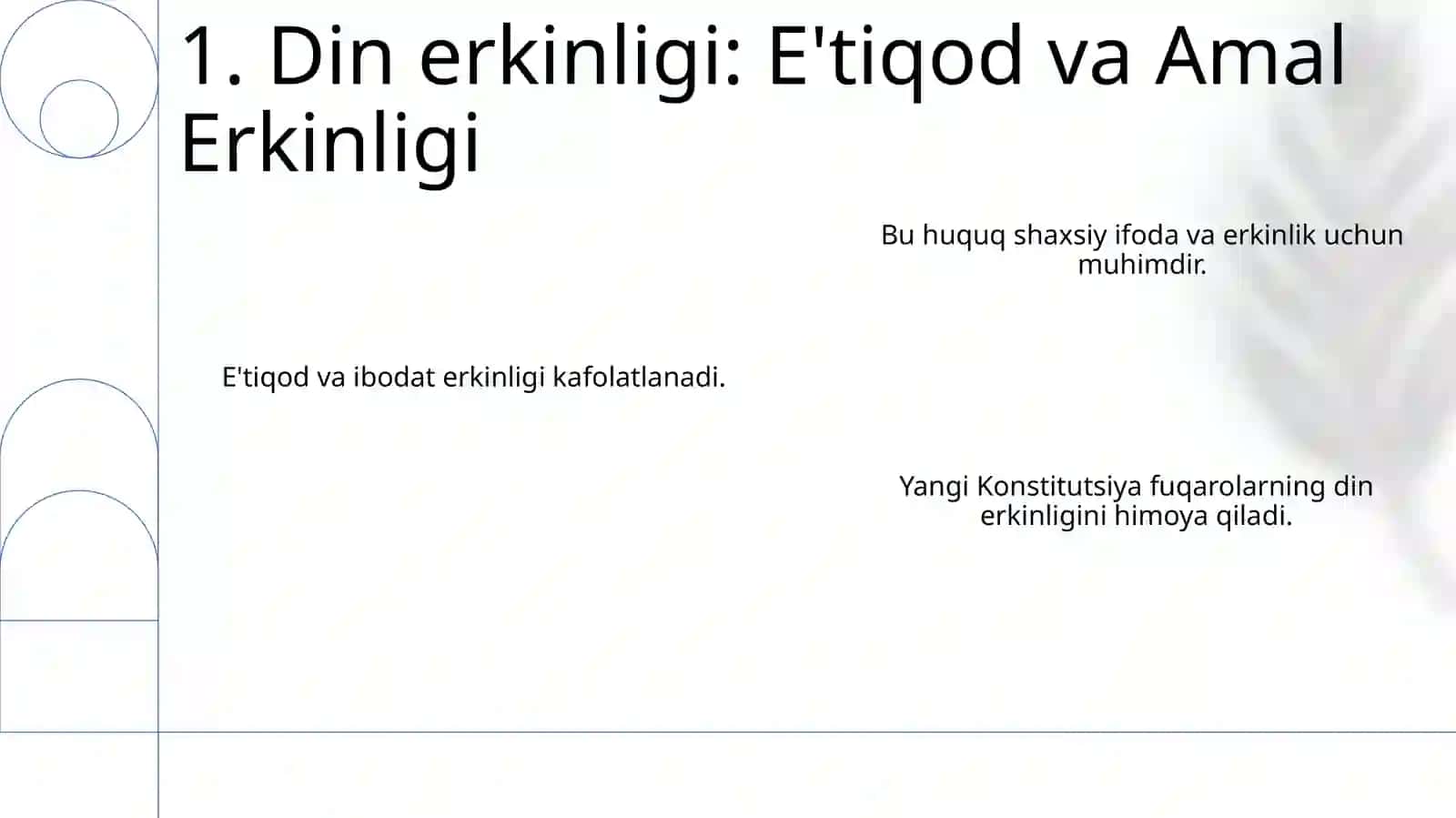 Yangi Konstitutsiyada fuqarolarning huquq va erkinliklar kafolati 3
