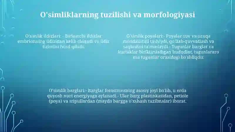 OʻSimliklar Dunyosi Va Ularni Hayot Tarzi Haqidagi Bilimlarni Olish Va Tahlil Qilish 3