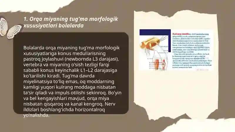 Bolalarda orqa miya anatomo-fiziologik xususiyatlari 3