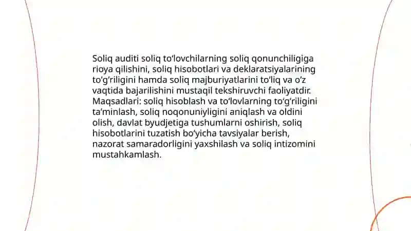 Soliq auditi 3