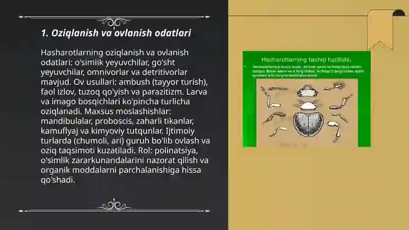 Hasharotlarning fe'l atvorlari 3