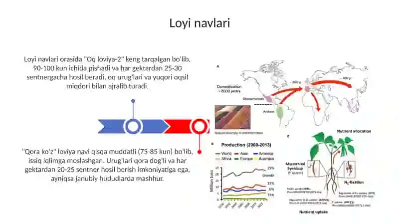 Loyi navlari, morfologiyasi va biologiyasi 3