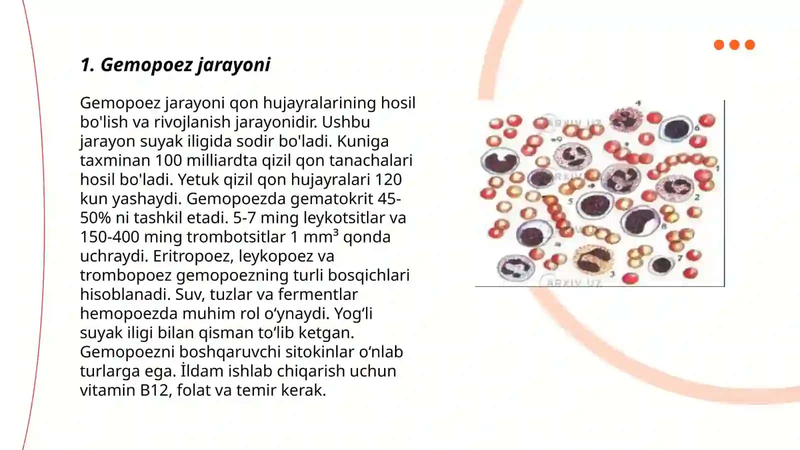 Gemositopoez.Gemositopoezni neyro-gumoral boshqarilishi 3