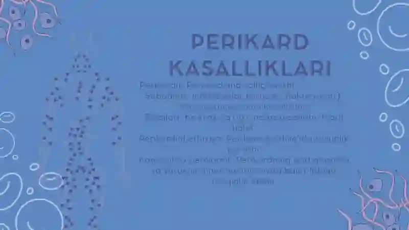Perikard va uning roli 3