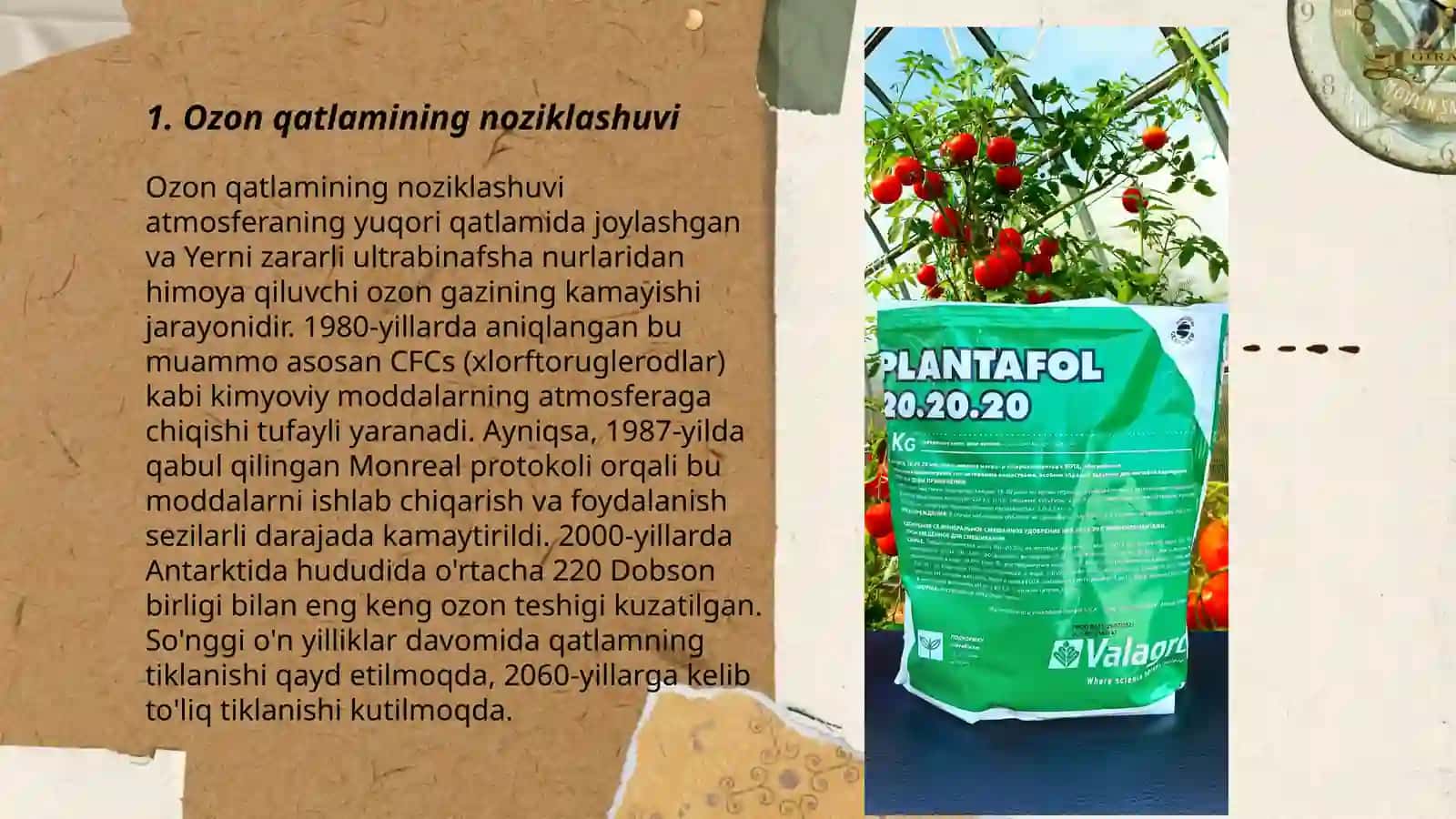 Ozon tuynigini yemirilish oqibatlari 3