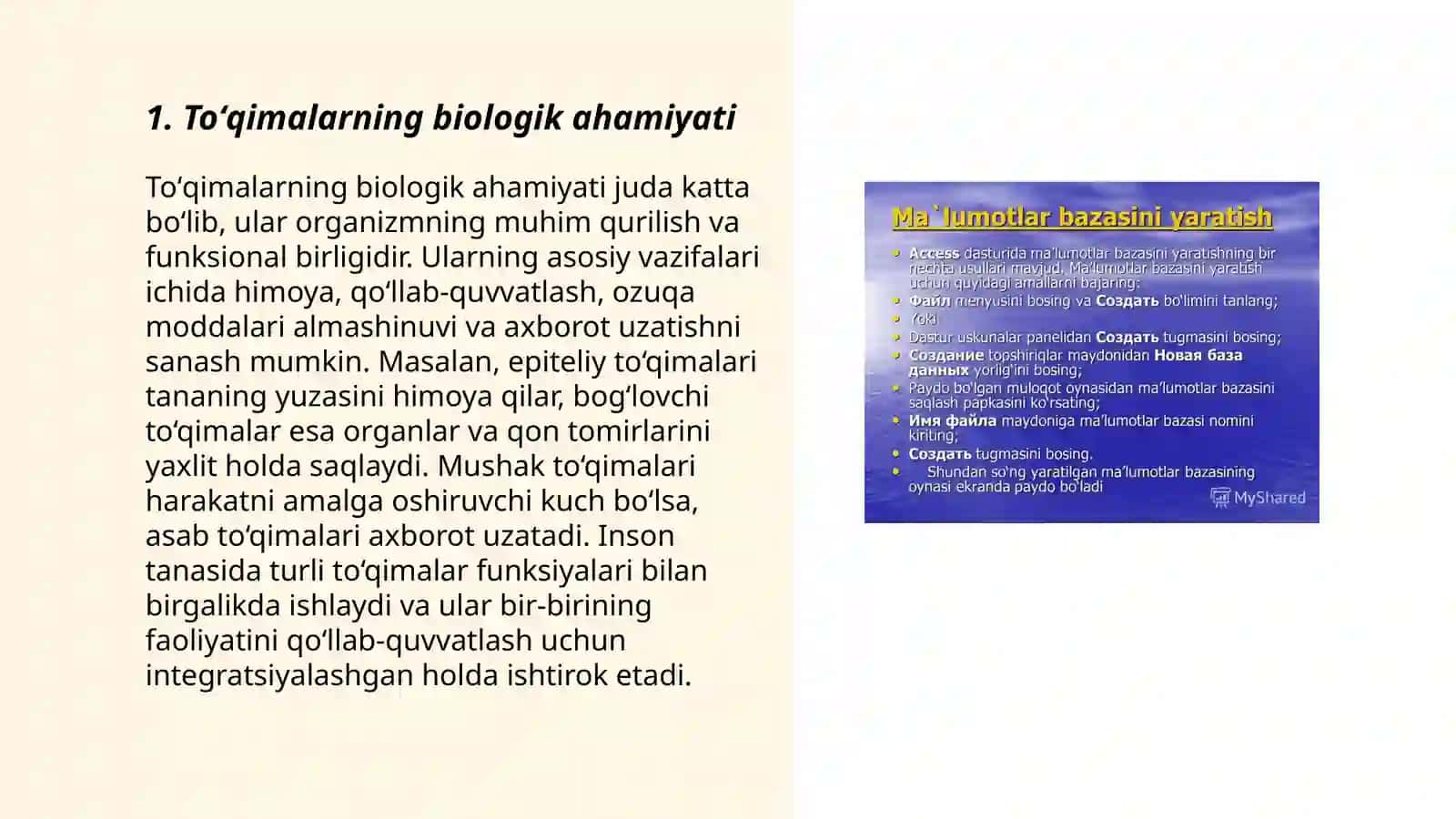 Botanika fanidan tayyorlagan taqdimot 3