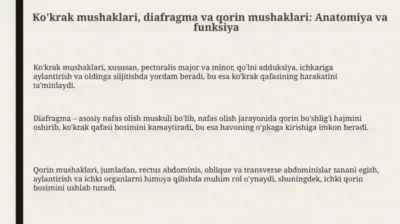 Ko'krak mushaklari, diafragma va qorin mushaklari: Anatomiyasi va fiziologiyasi 3