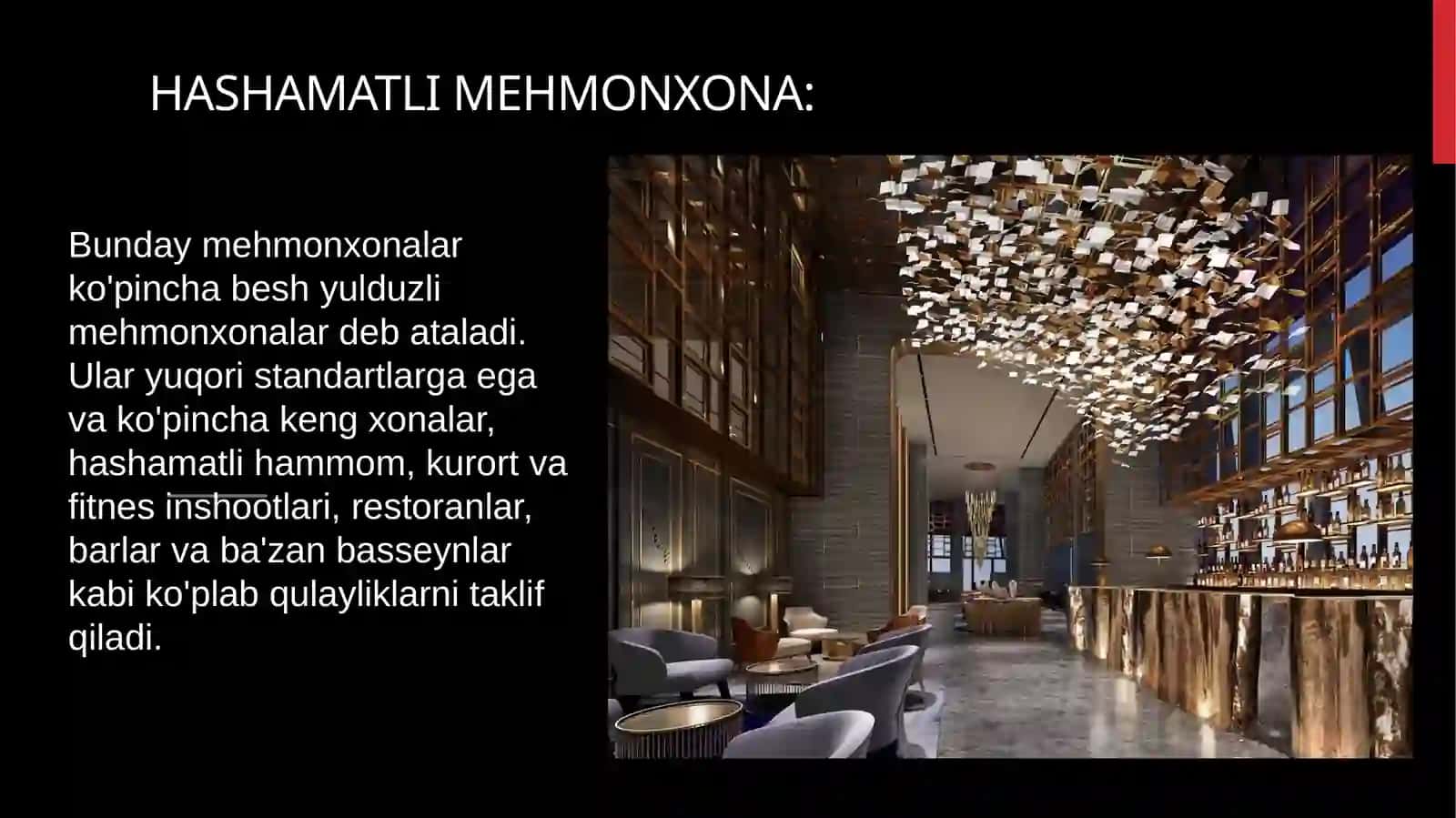 Maxsuslashtirilgan mehmonxona turlari 3