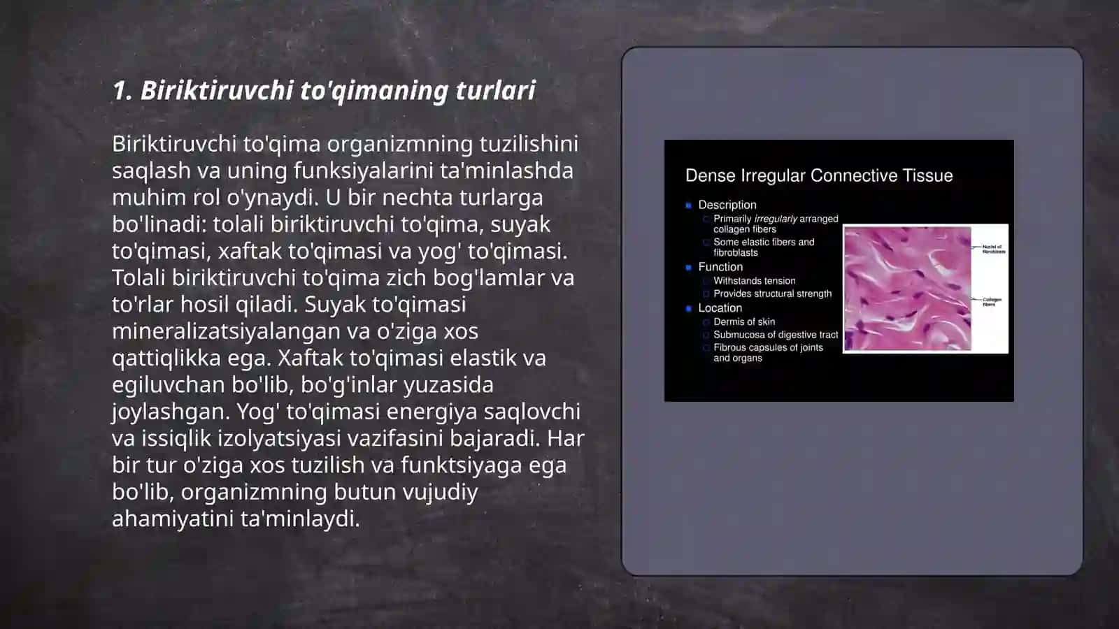 Birikgiruvchi to'qimaning taraqiyoti organizmda joylashishi va uning tavsifi 3