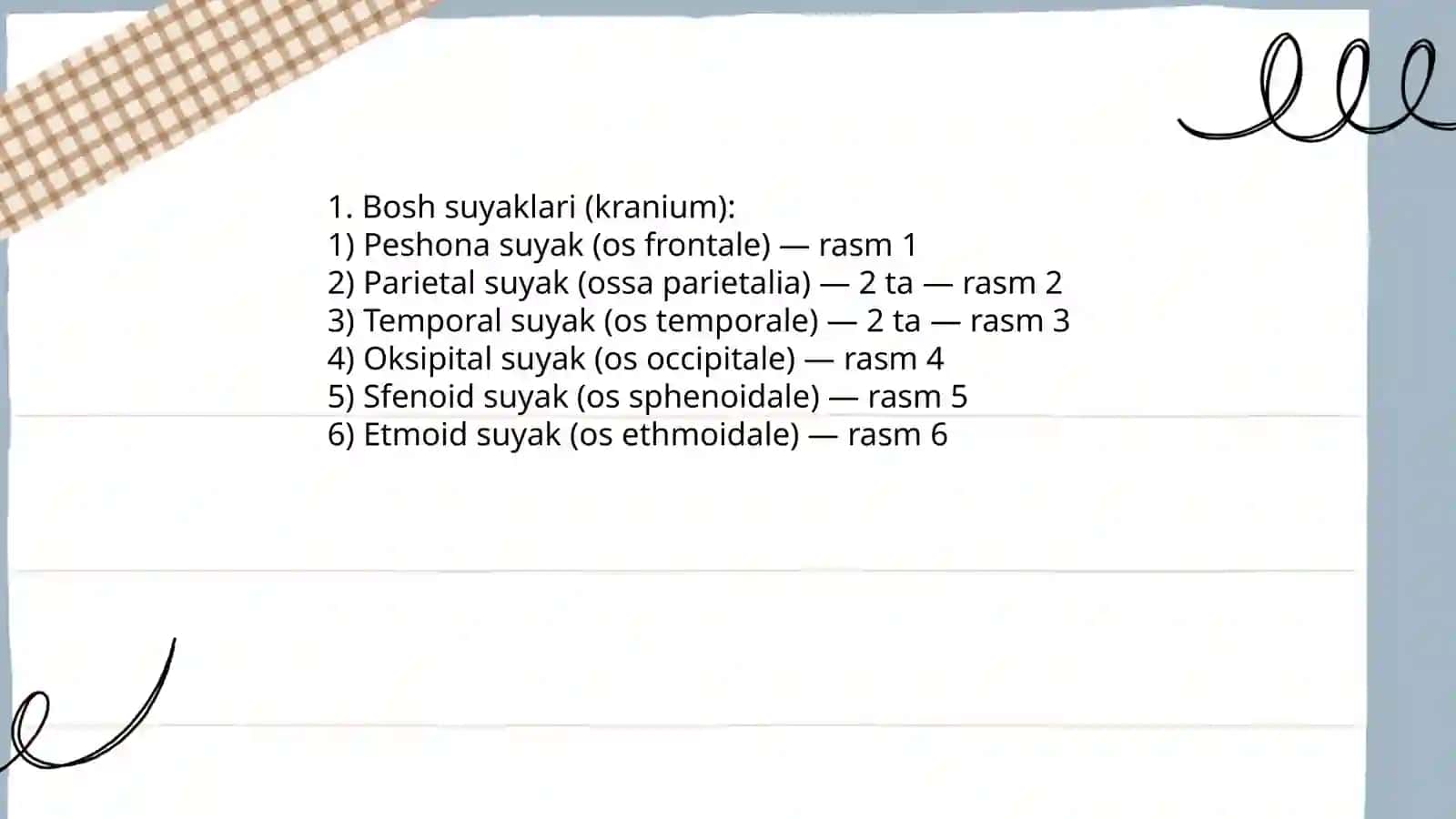 Anatomyadan suyaklarn7 rasmi 206 ta faqat suyaklarni nomi va rasim 3