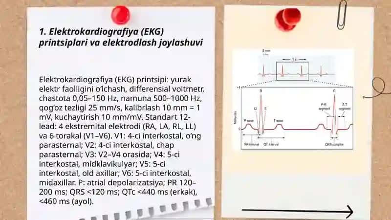 Elektrokardiografiya (EKG) 3