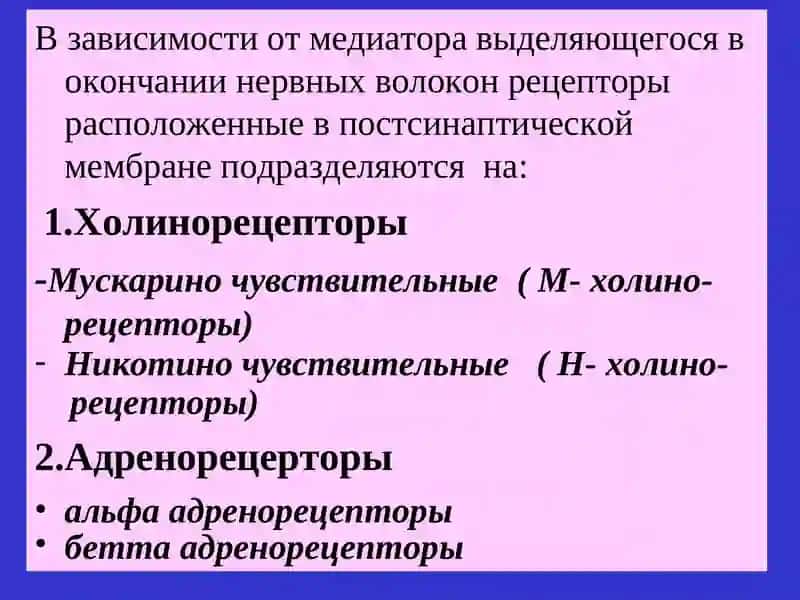 Средства влияющие на эфферентнуюиннервацию 3
