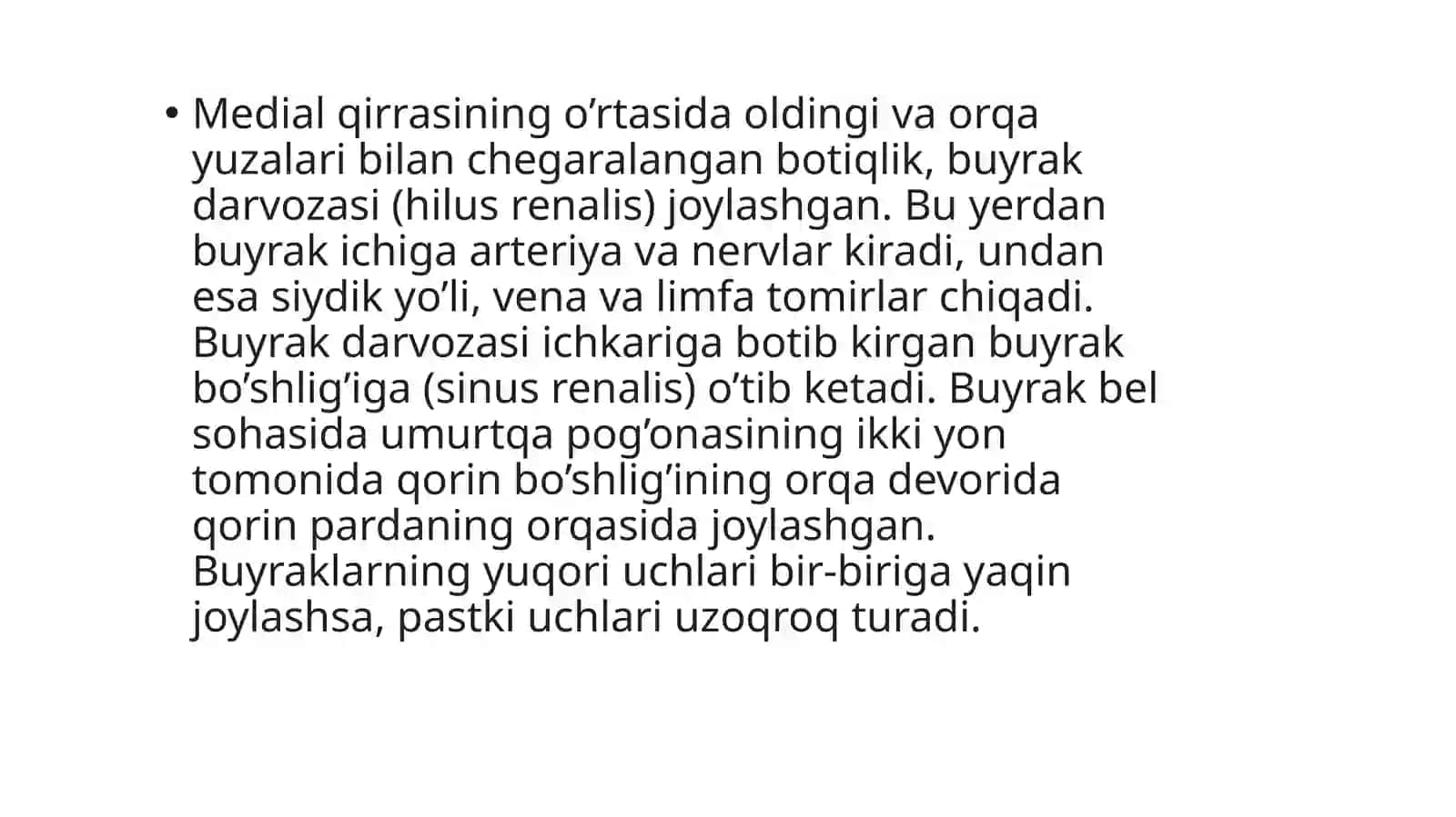 Buyrak va siydik yo‘llari anatomiyasi 3