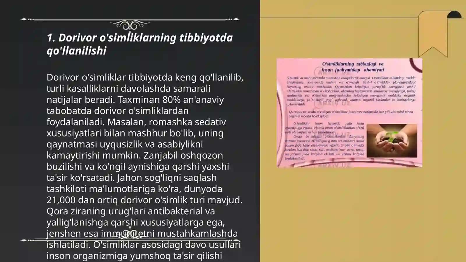 Dorivor o’simliklarni inson hayotidagi ahamiyati 3