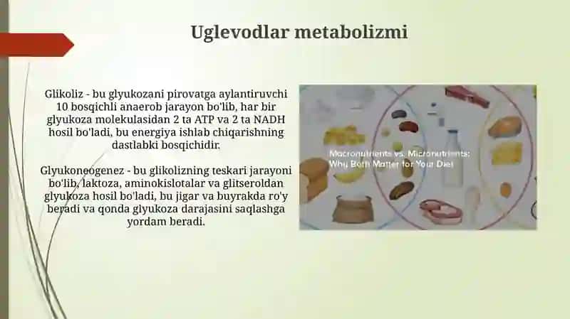 Moddalar almashinuvi uglevodlar yogʻ va oqsillar metobolizimi 3