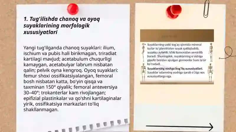 Chanoq va oyoq suyaklarinig yoshga nisbatan xususiyatlari 3