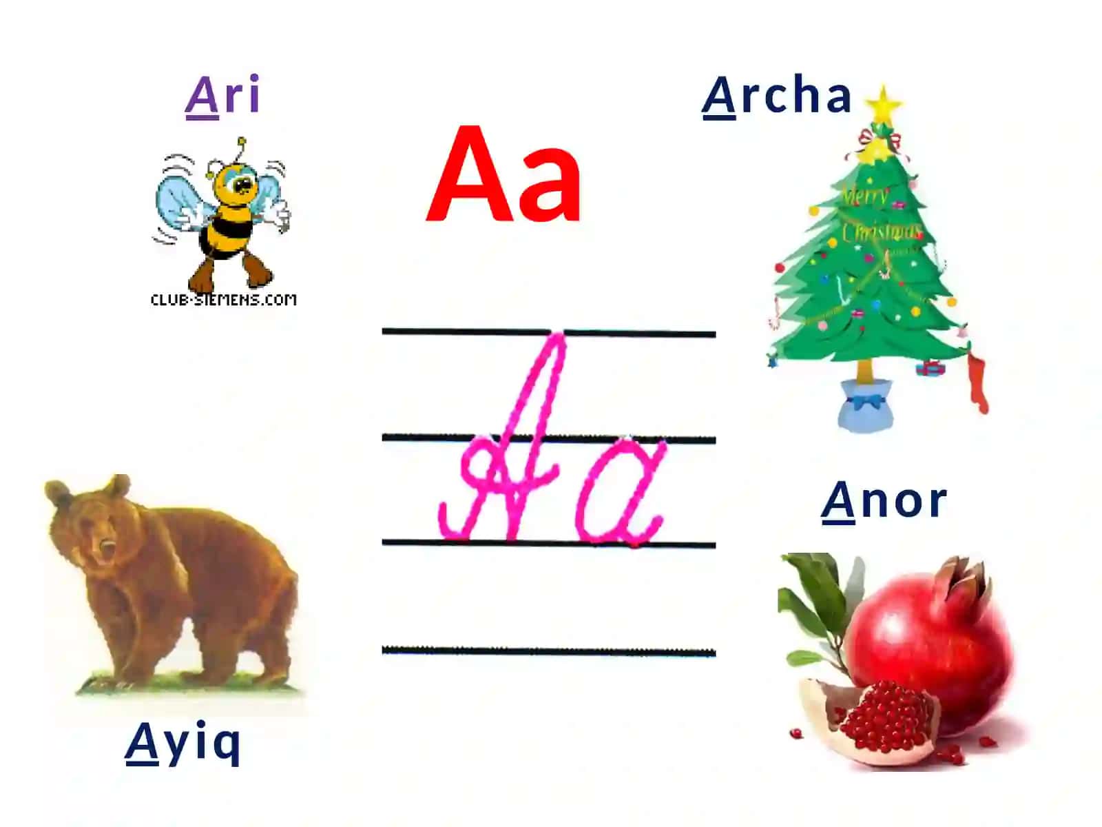 1-sinf Alifbe alifbo harflariga she'rlar ko'rgazma 3