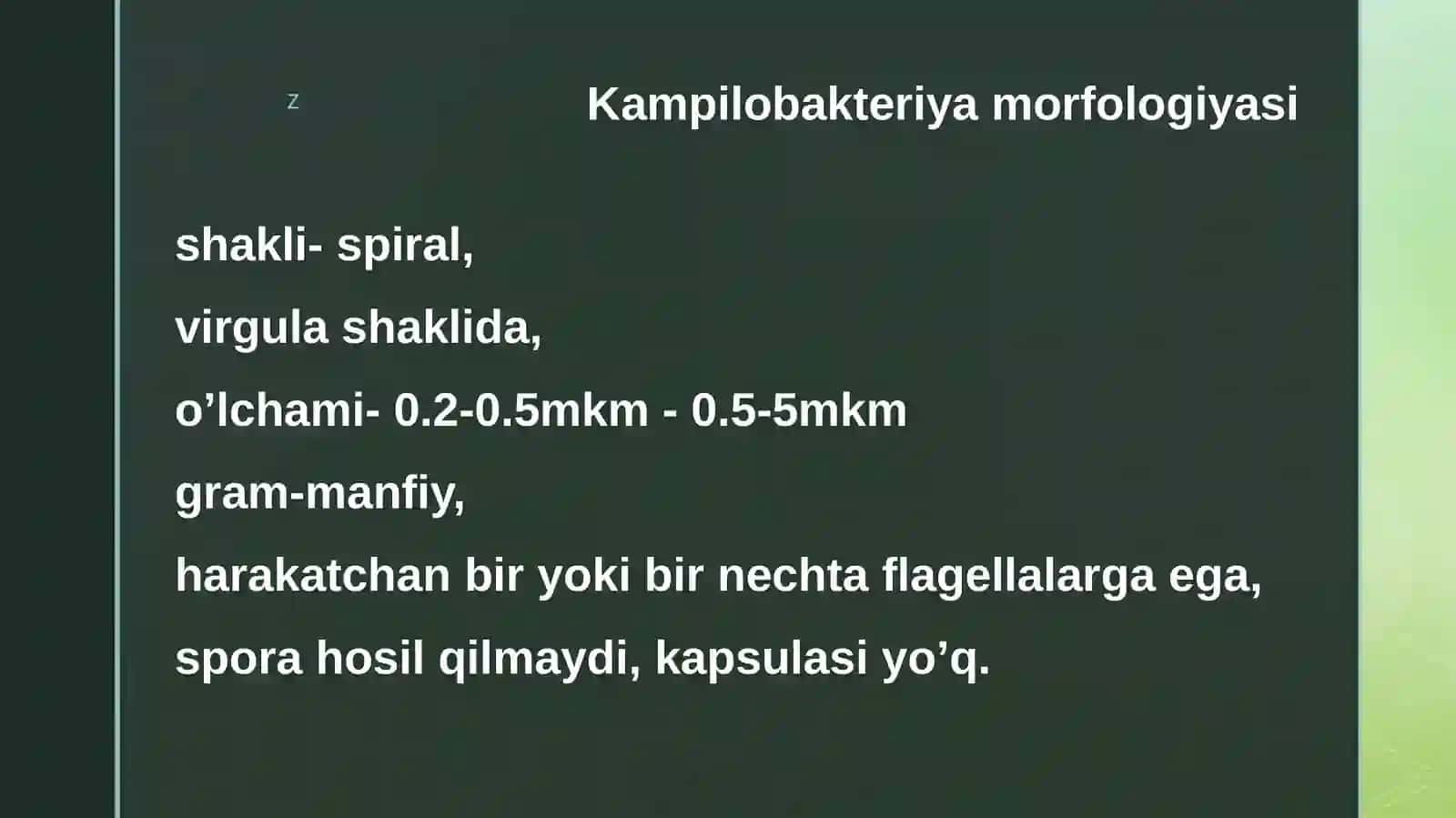 Kampilobakteriyalar, helikobakteriyalar va ularning amaliyotdagi ahamiyati. Ularning keltirib chiqargan kasalliklar, laborator tashxisi 3