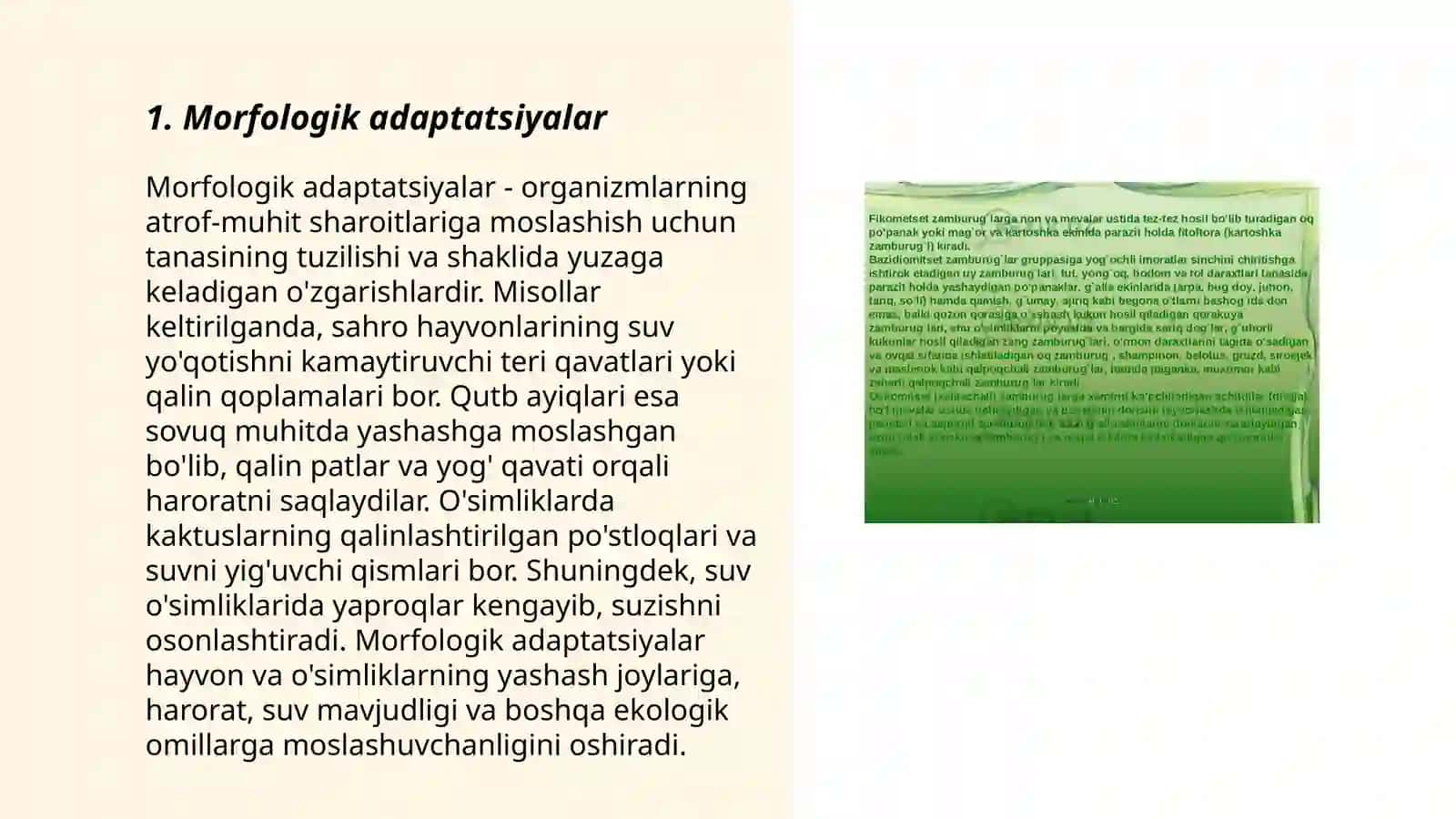 Morfologik adaptatsiyalar 3