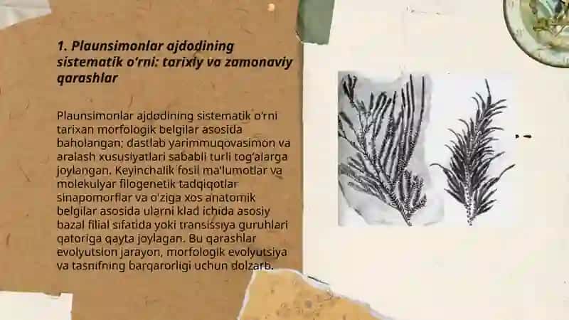 Plaunsimonlar ajdodining sistematik oʻrni, umumiy tasnifi va dolzarbligi 3