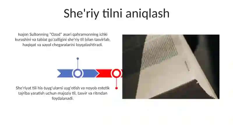 "Ozod" romanida poetik til masalasi 3