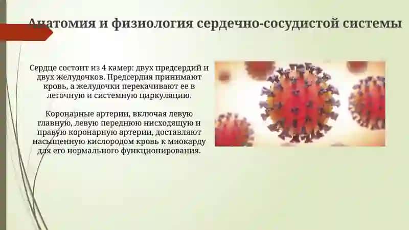 Уход и наблюдение за пациентами при заболеваниях сердечно-сосудистой системы 3