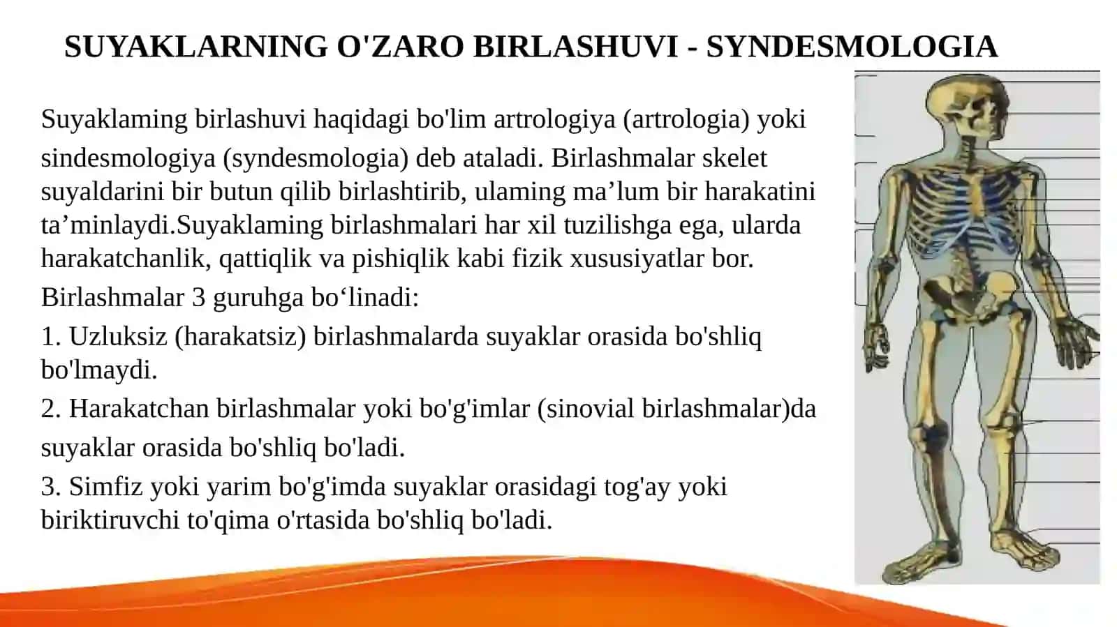 Birlashuvlar.Tana suyaklarini birlashuvi va ularning bolalardagi xususiyatlari.Kalla suyaklarining birlashuvi.Chakka-pastki jag’  bo’g’imi 3