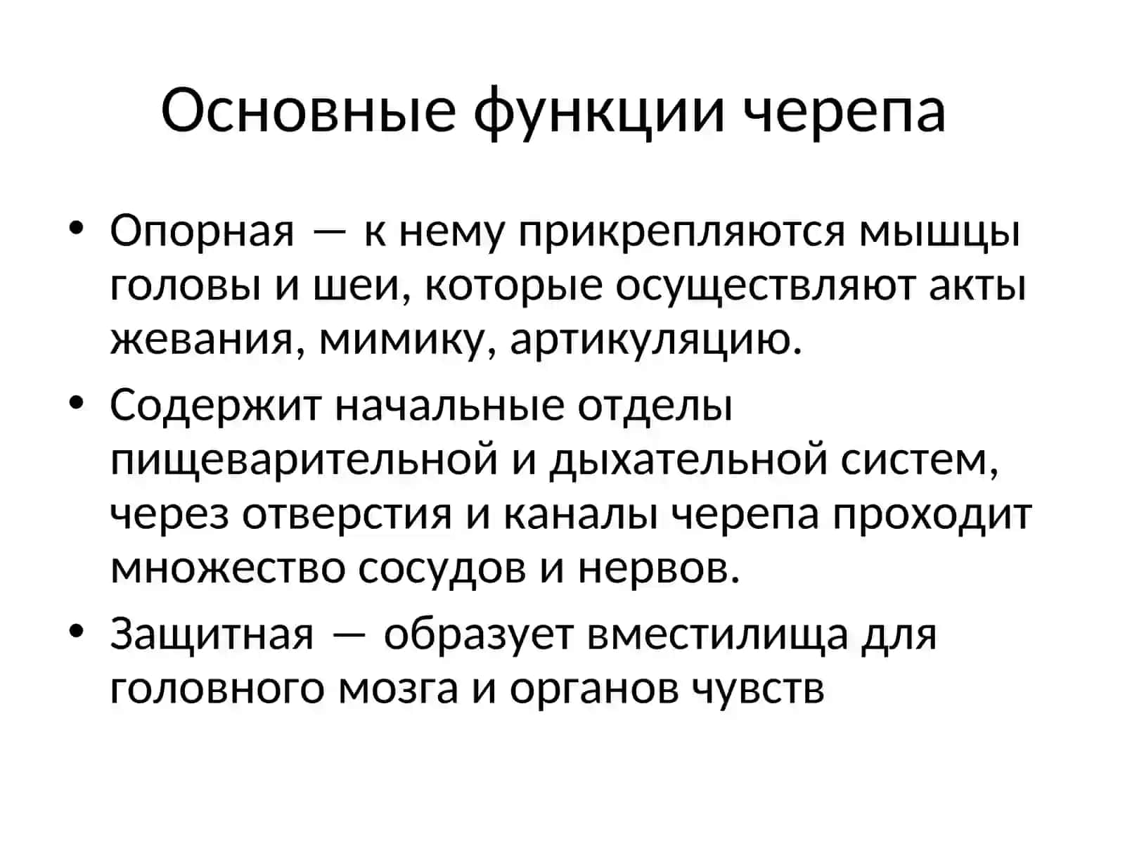 Общие сведения о строении черепа 3