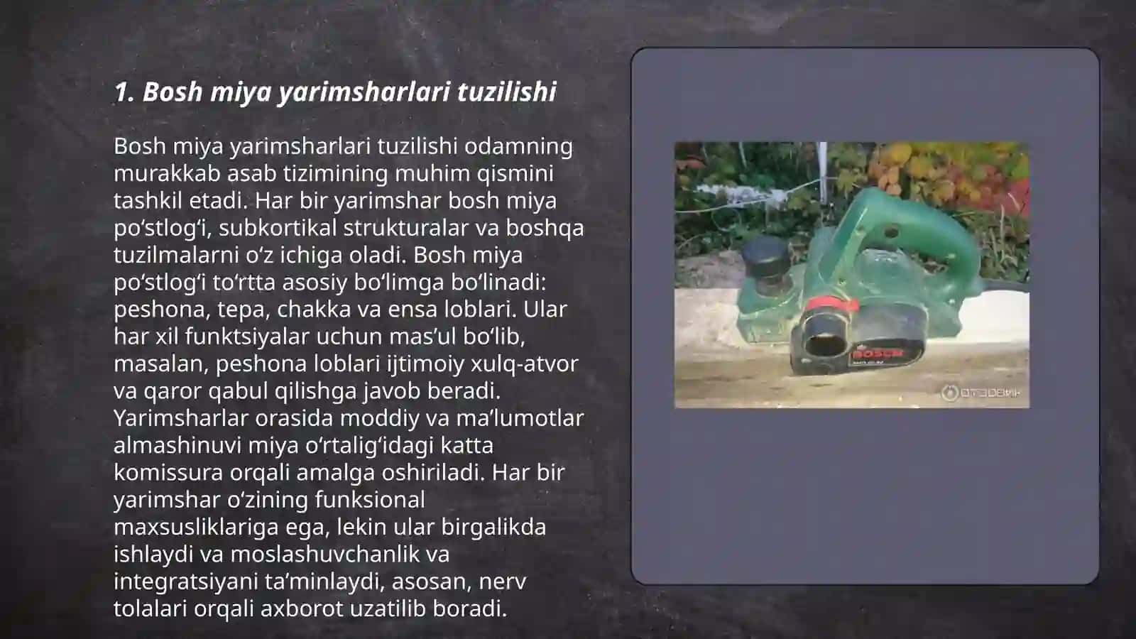 Bosh miya yarimsharlar poʻstlogʻining morfogenezi 3