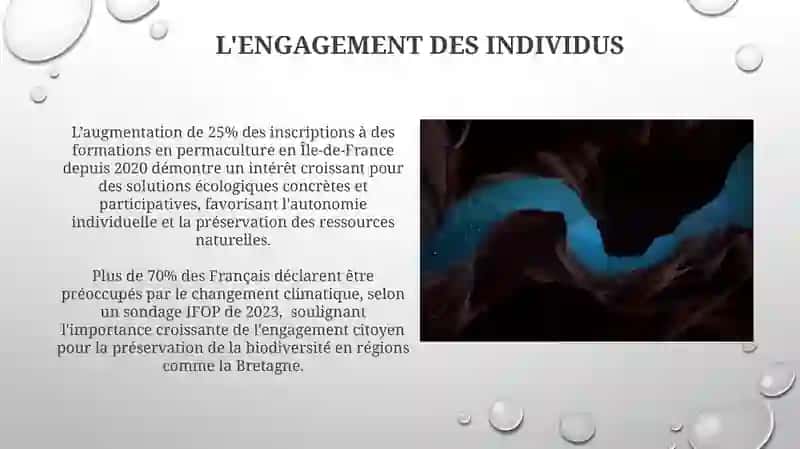 La nature et lʼenvironnement la nécessité de leur preservtion 3