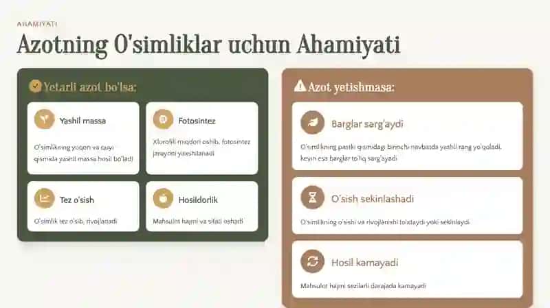 Azotli O'g'itlar 3