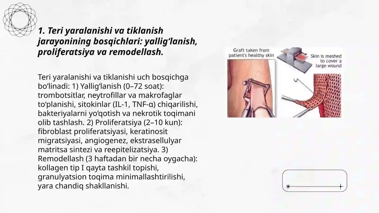 Teri regeneratsiyasi va transplantatsiyasi. Nazariy va klinik ahamiyati 3