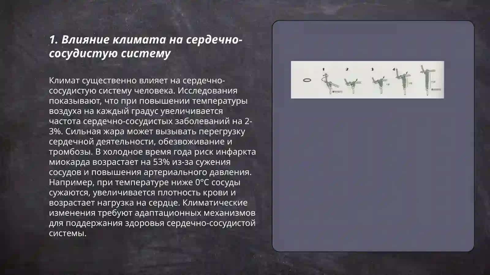 Климатические условия и здаровье человека 3
