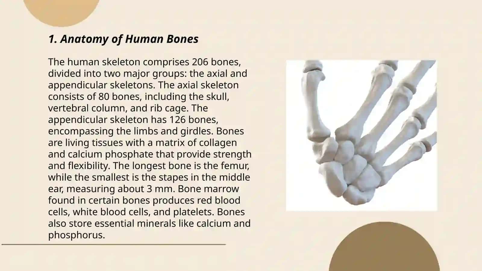 Bones 3