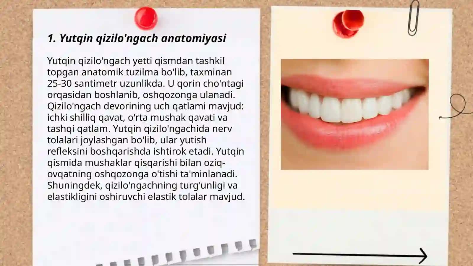 Hazm tizimi oldingi boʻlimi yutqin qiziloʻngach 3
