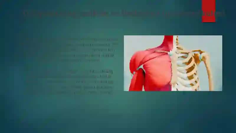 Bolalarda hazm qilish tizimi a’zolarining anatomik xususiyatlari 3
