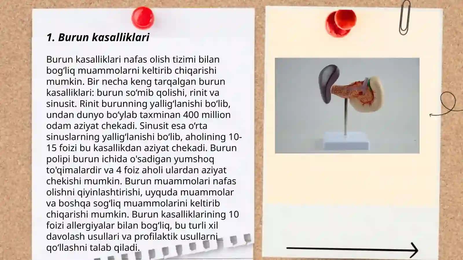 Eshitish organlari kasalliklar tasnifi 3