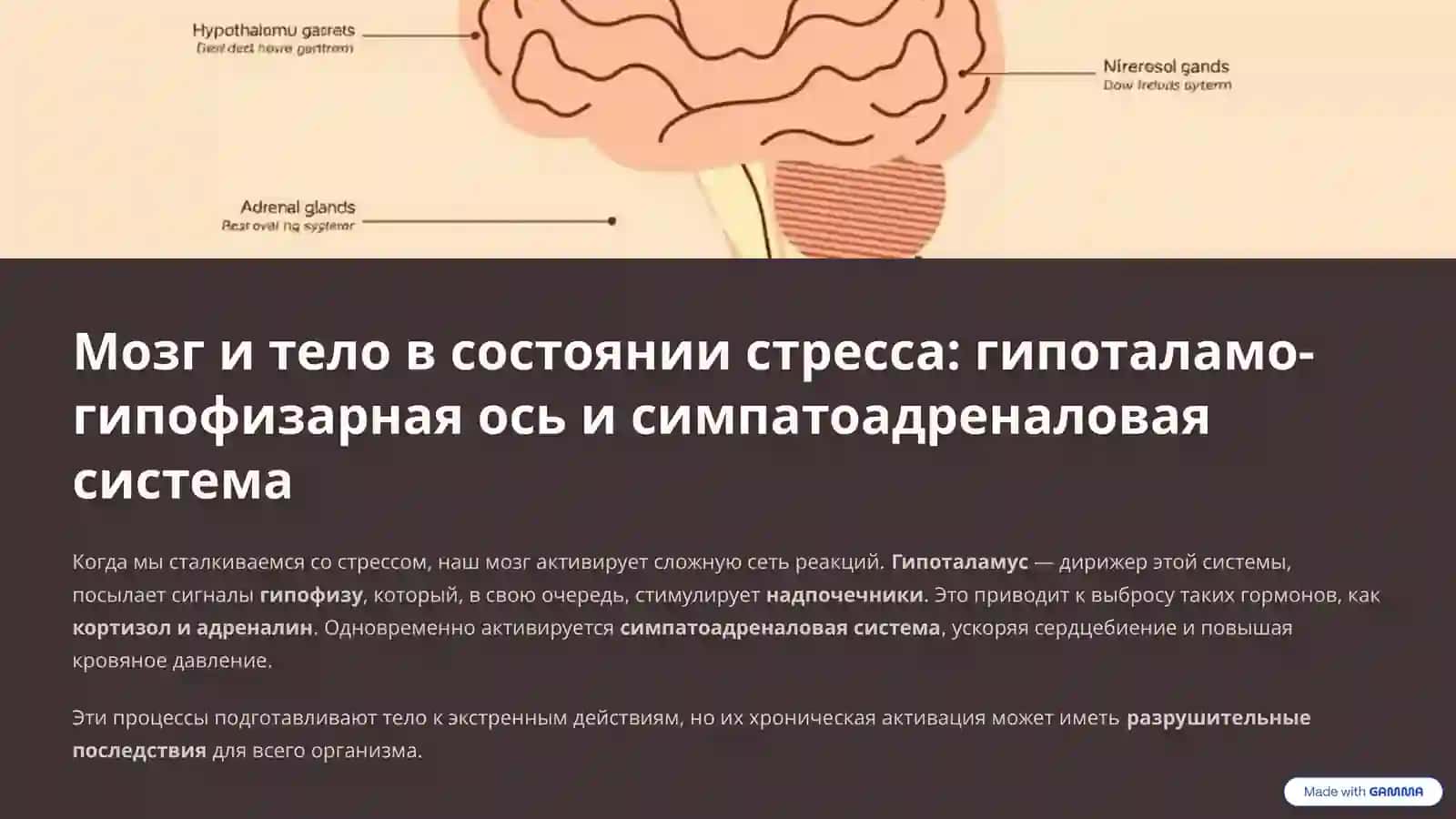 Стресс – причина всех болезней: как эмоции разрушают тело 3