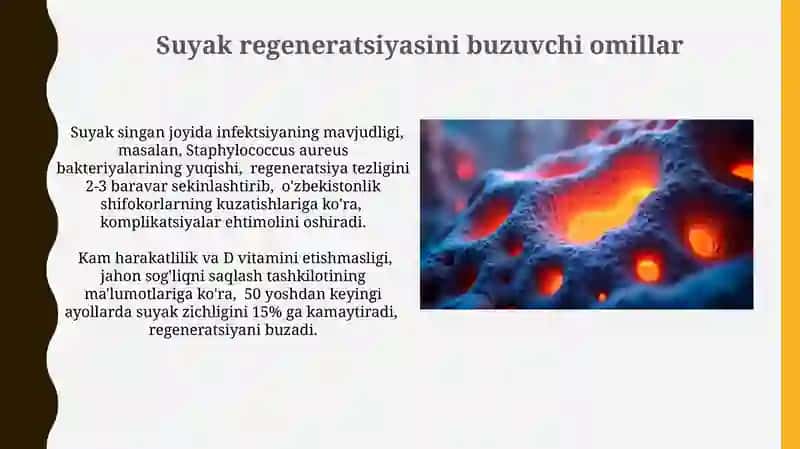 Suyak regeneratsiyasini buzuvchi omillar 3