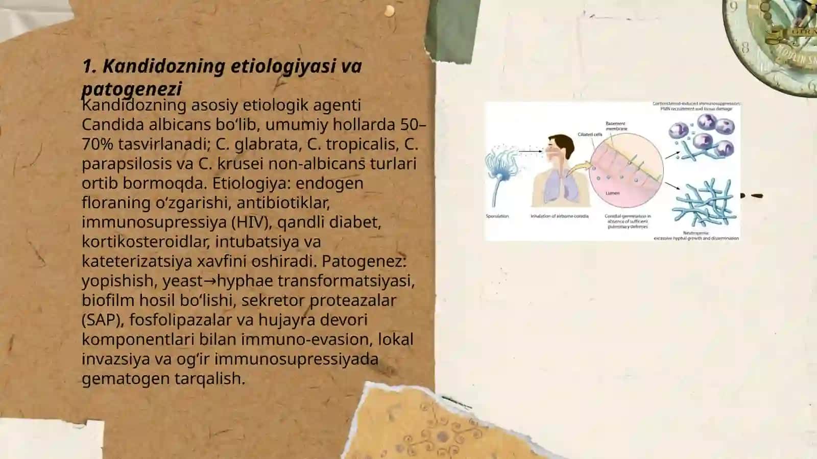 Zamburugʻ infektsiyalari--kandidoz, aspergillez 3