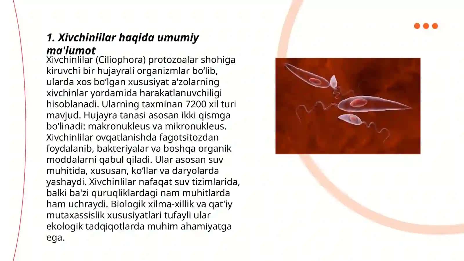 Xivchinlilar-odam parazitlari:tripanasoma,leyshmania,trixomonada va ymbliya.Sporalilar-odam parazitlari:bezgak parazitlari,toksoplazma.Ichak parazitlari:ichburuģ amyobasi,ichak balantidiyasi 3