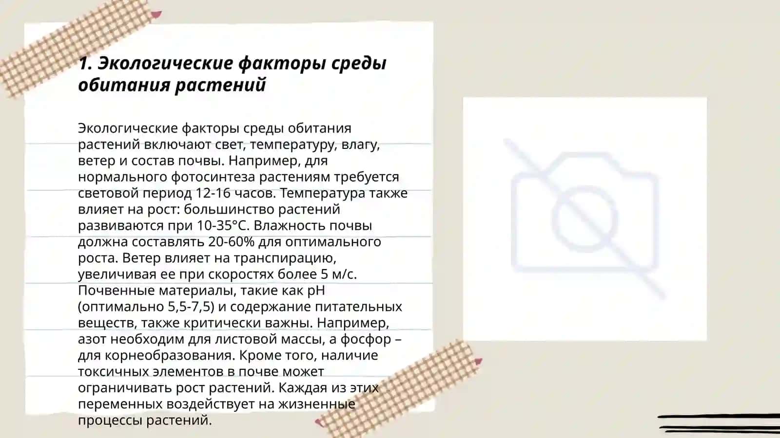 Экологические группы растений 3