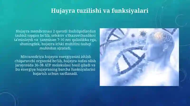 Fiziologiya va Anatomiyaning Umumiy Tushunchasi 3