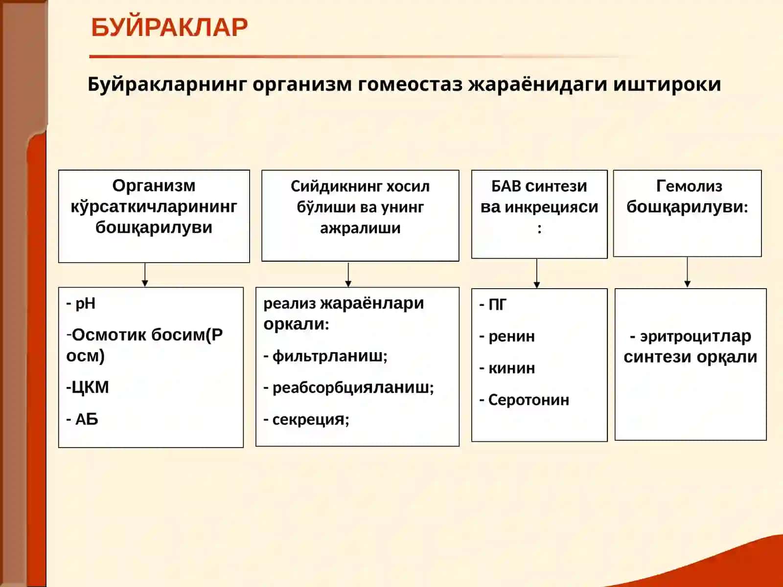 МАЪРУЗА №15БУЙРАК КАСАЛЛИГИ БИЛАН ОҒРИГАН БЕМОРЛАРНИ ТЕКШИРИШ 3