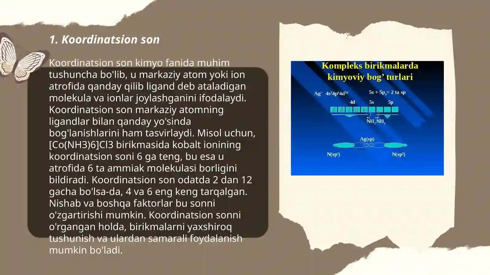 Koordinatsion son 3