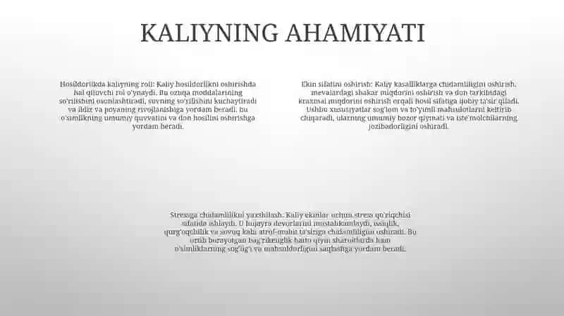 Kaliyli O'G'It Qo'Llash Muddatlarining Qishloq Ekinlari Hosili Va Sifatiga Ta'Siri 3