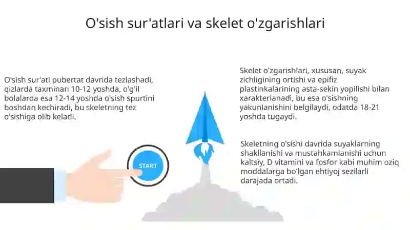 Yosh davrlarining morfologik va fiziologik xususiyatlari 3