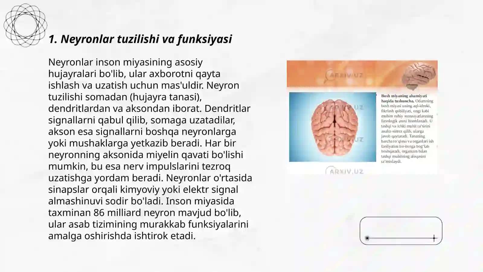 Markaziy nerv tizm fiziologiyasi 3