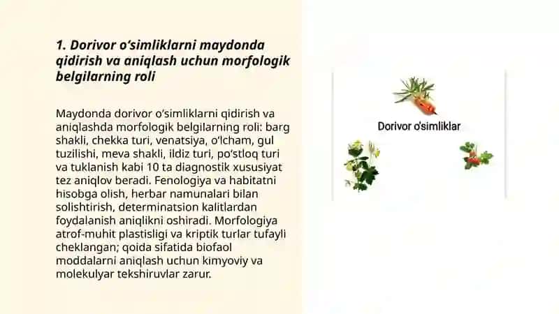Dorivor oʻsimliklarni izlab topish morfologiyasi oʻrganish 3