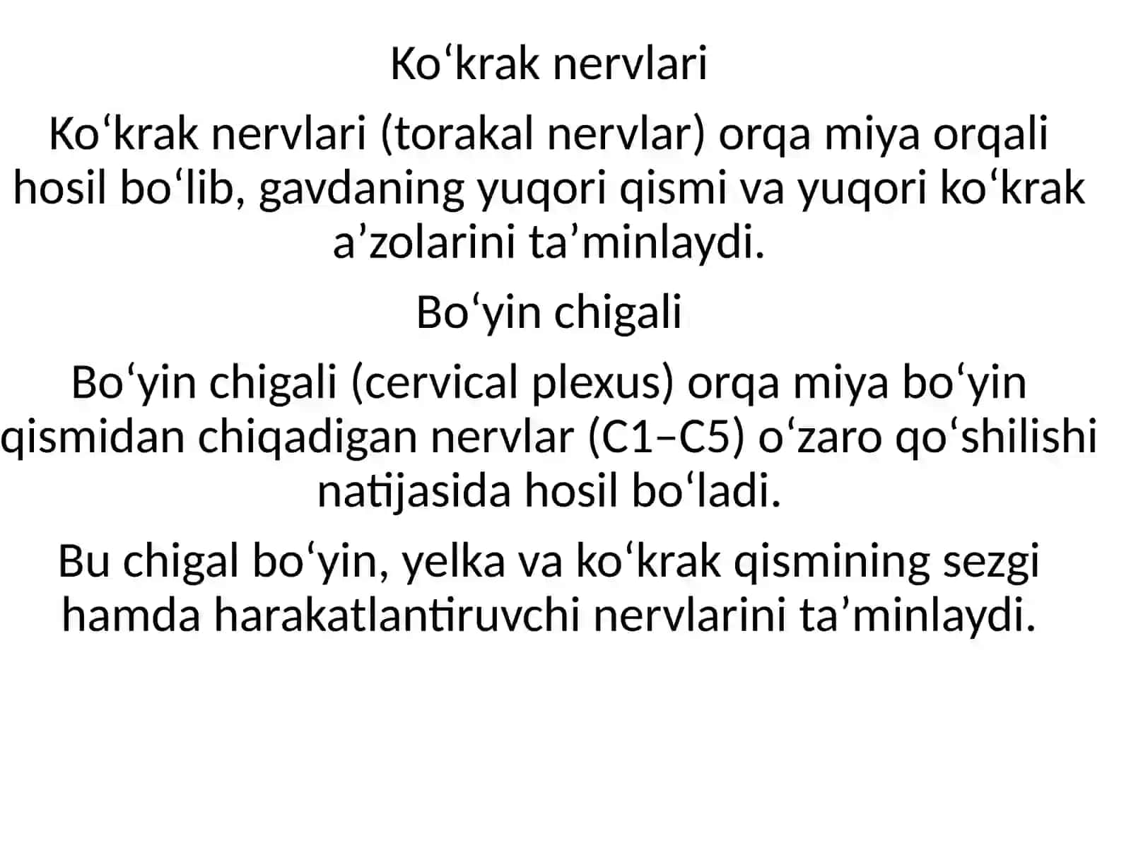 Orqamiyamiyanervlarnihosilboʻlishiorqamiyanervlarnishoxlarikoʻkraknervlariboʻyinchigali 3